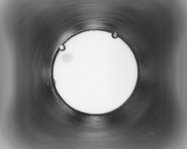 X0000103901330200809261542