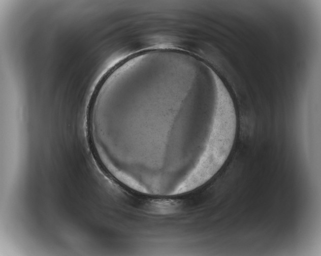 X0000103901331200809261542