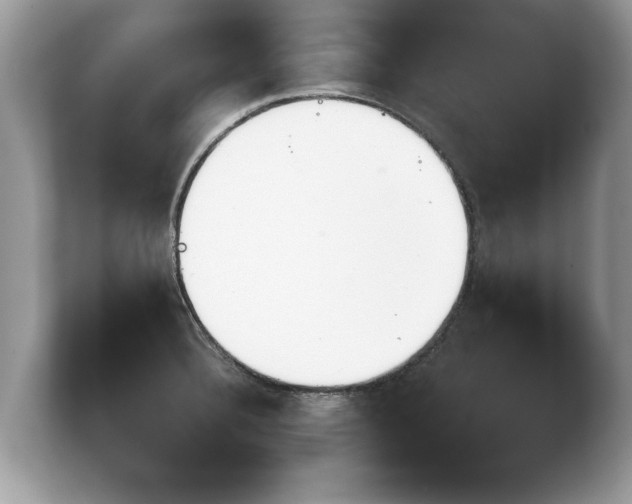 X0000103901332200809261542