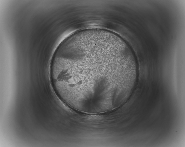 X0000103901333200809261542