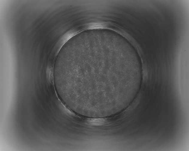 X0000103901337200809261542