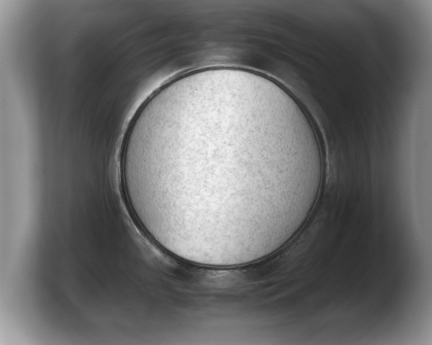 X0000103901341200809261542
