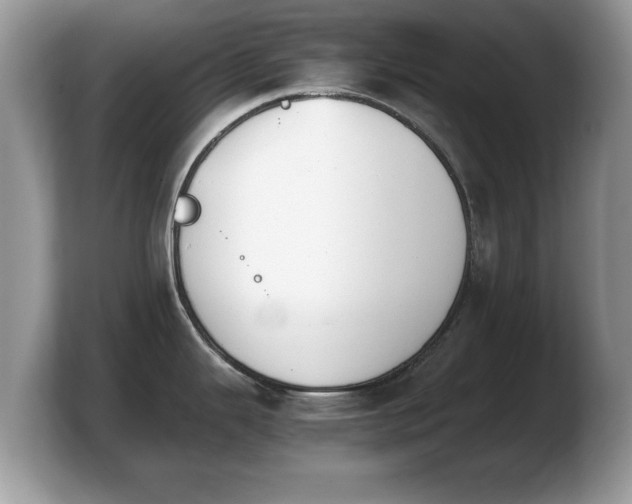 X0000103901343200809261542