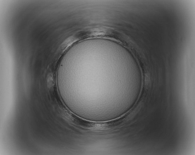 X0000103901353200809261541