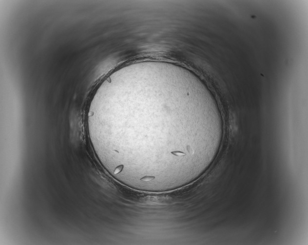 X0000103901354200809261541