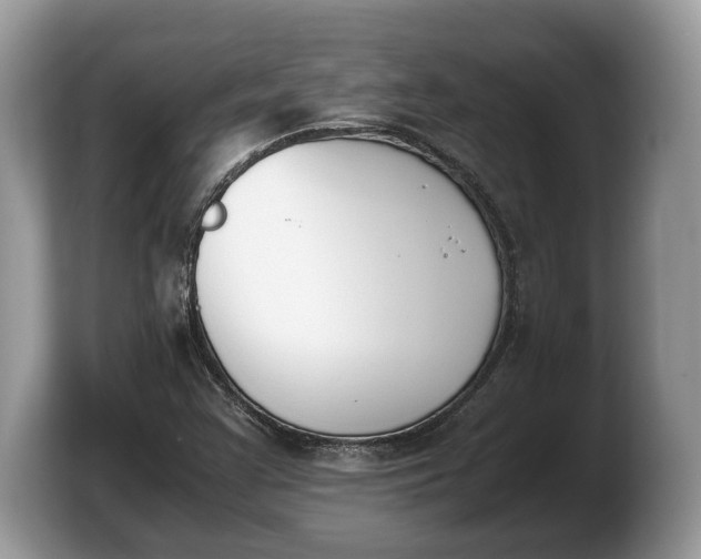 X0000103901355200809261541