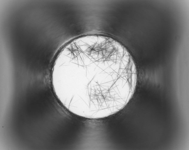 X0000103901356200809261541
