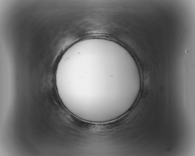 X0000103901357200809261541