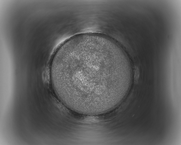 X0000103901358200809261541