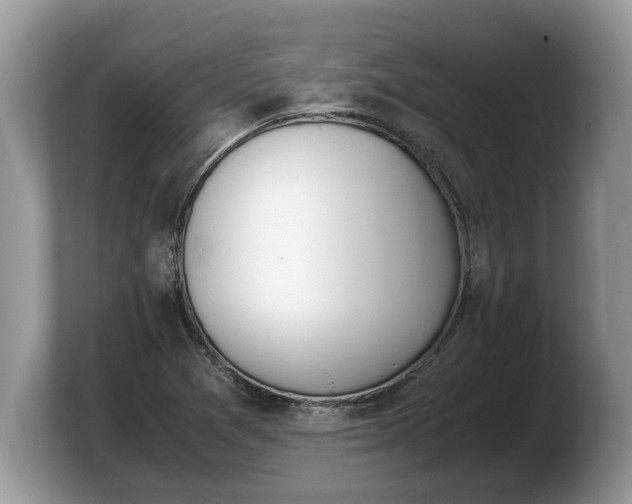 X0000103901361200809261541