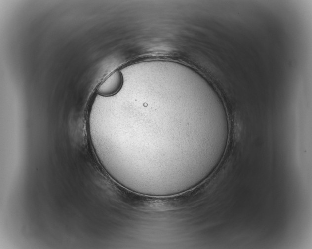 X0000103901362200809261541
