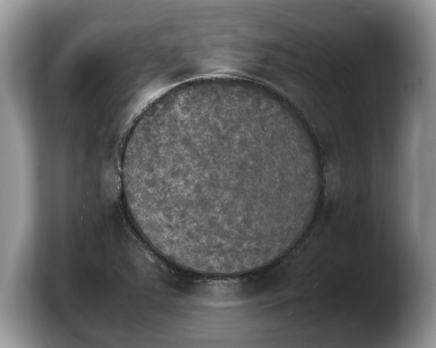 X0000103901363200809261541