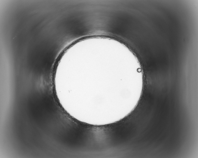 X0000103901364200809261541