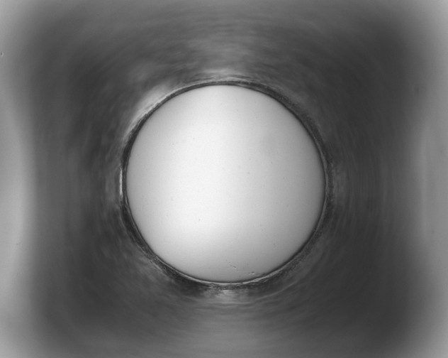 X0000103901365200809261541
