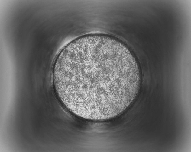 X0000103901367200809261541