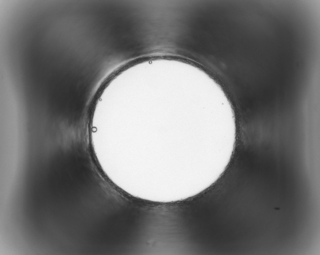 X0000103901368200809261541