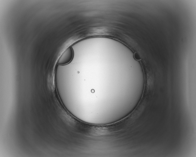 X0000103901370200809261541