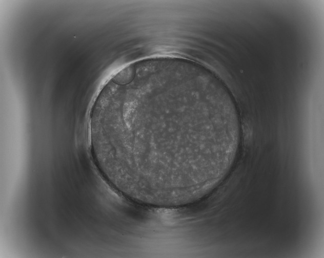 X0000103901371200809261541