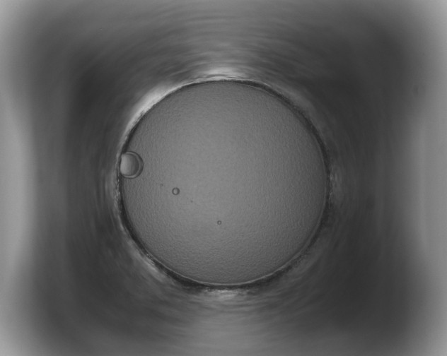 X0000103901373200809261541