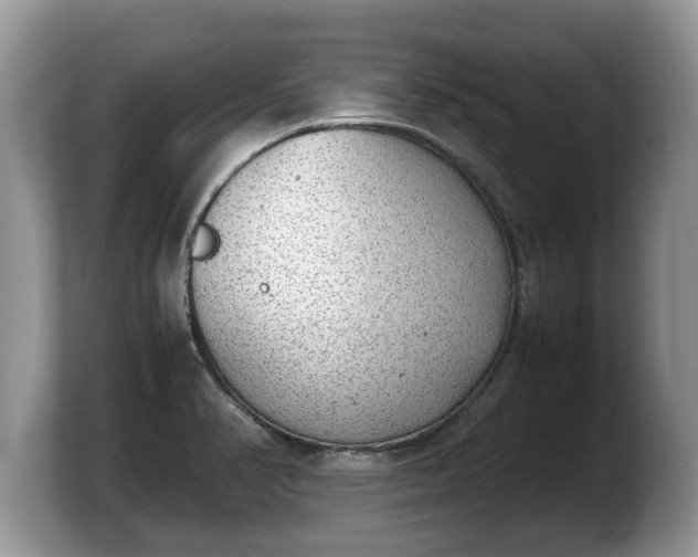 X0000103901374200809261541