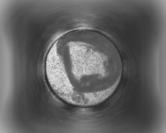 X0000103901375200809261541