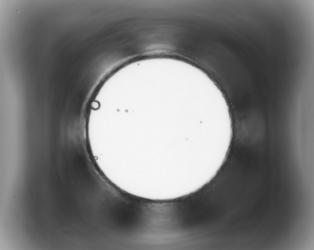 X0000103901376200809261541