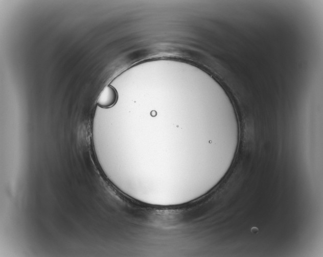 X0000103901377200809261541