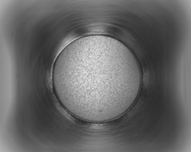 X0000103901378200809261541