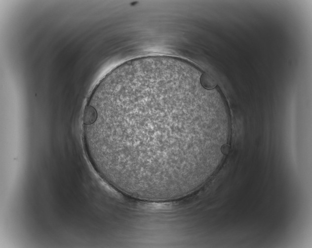 X0000103901381200809261541