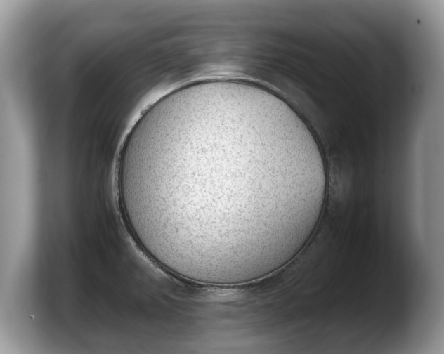X0000103901382200809261541