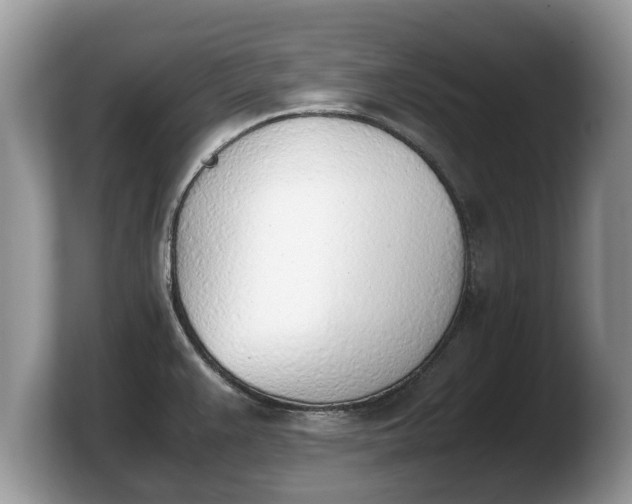 X0000103901383200809261541