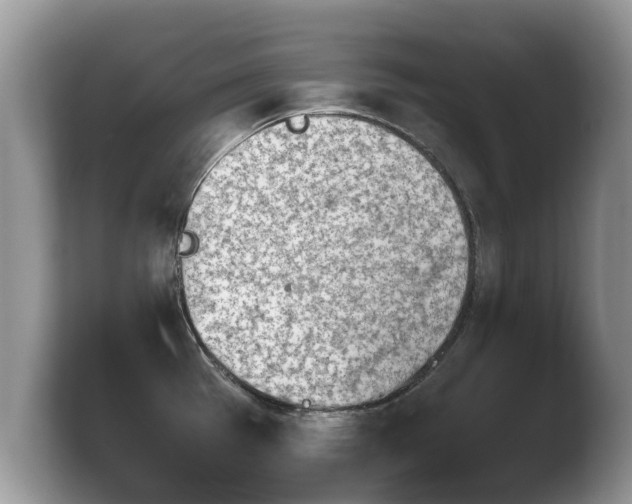 X0000103901385200809261541