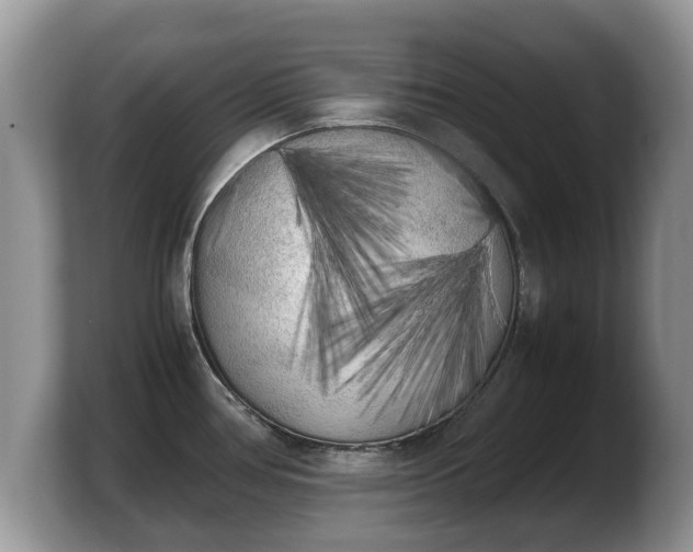 X0000103901386200809261541