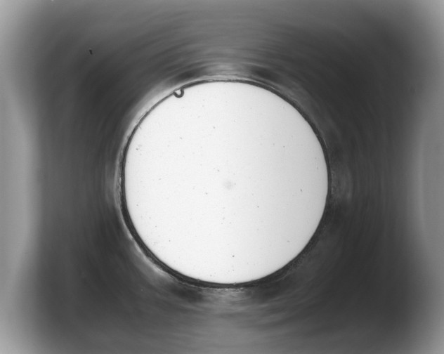 X0000103901387200809261541