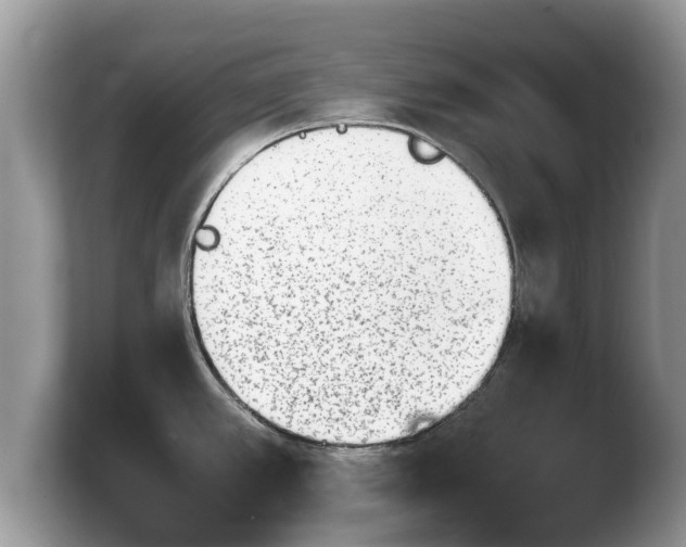 X0000103901389200809261541