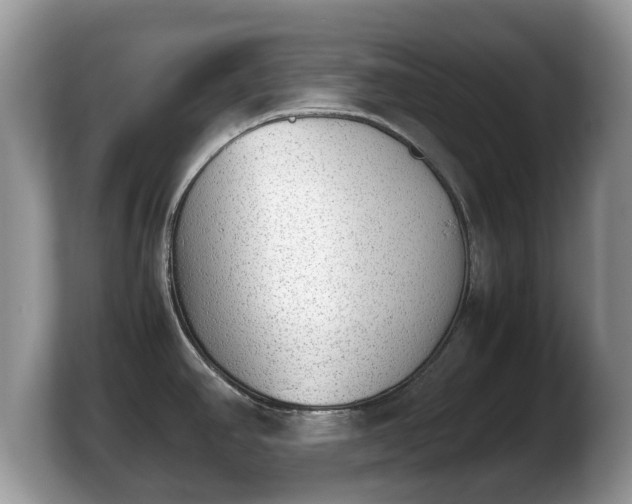 X0000103901390200809261541