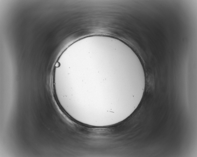 X0000103901391200809261541
