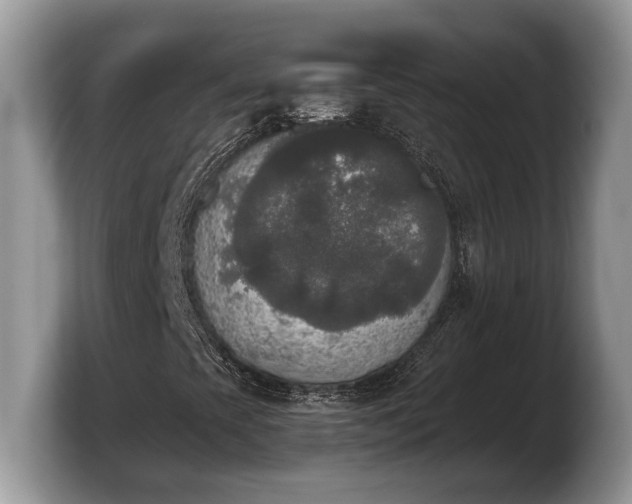 X0000103901393200809261540