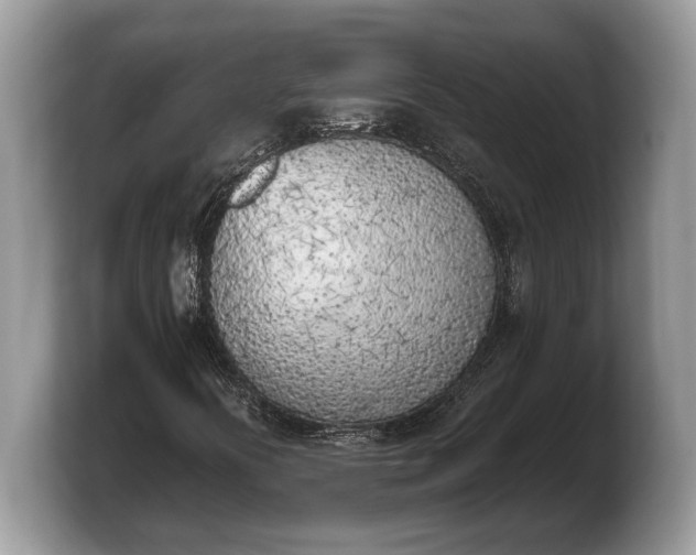 X0000103901394200809261540