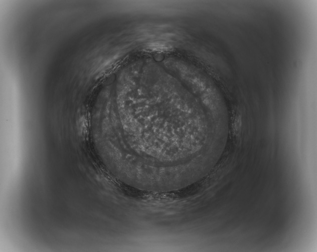 X0000103901397200809261540