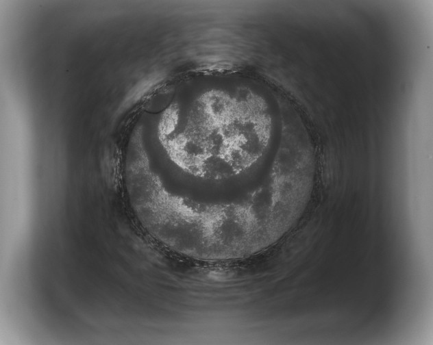 X0000103901399200809261540