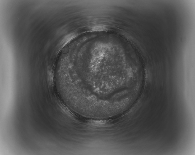 X0000103901401200809261540