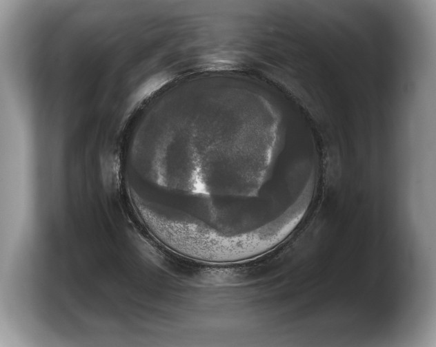 X0000103901402200809261540