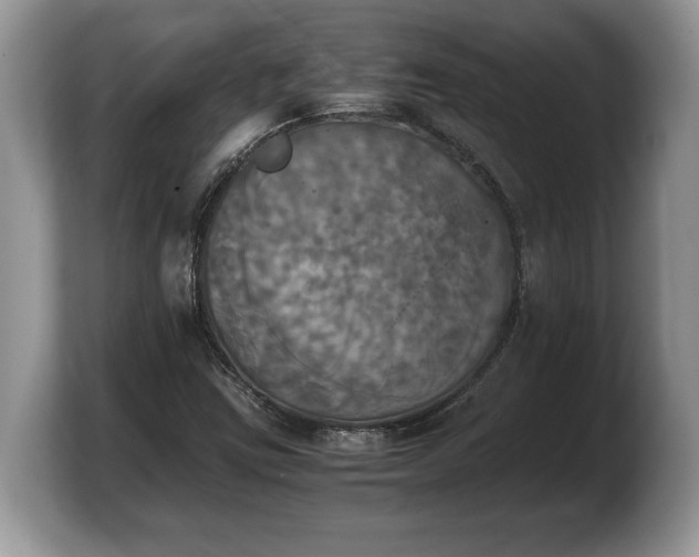 X0000103901403200809261540