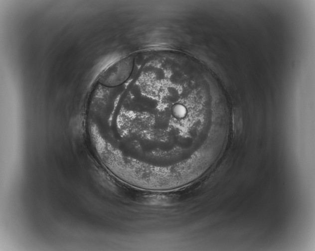 X0000103901405200809261540