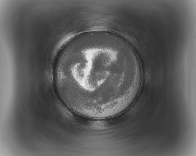X0000103901406200809261540