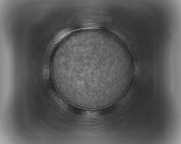 X0000103901407200809261540