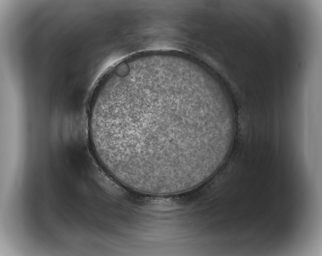 X0000103901408200809261540