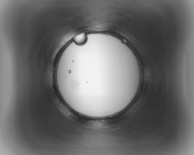 X0000103901410200809261540