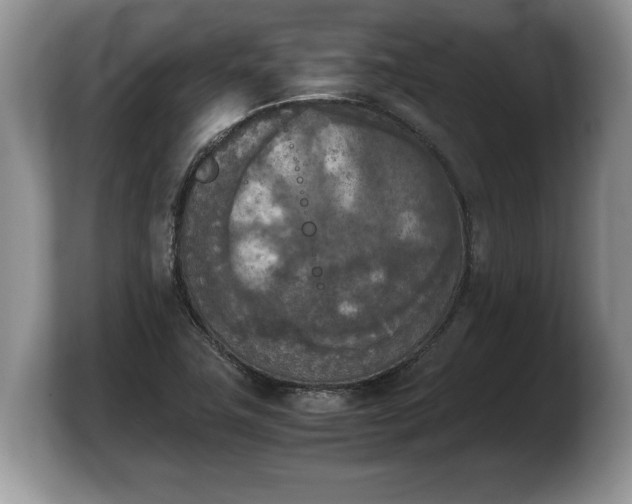X0000103901411200809261540